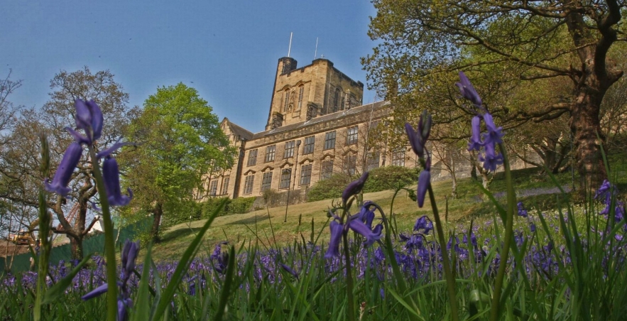 Bangor-University-and-Bluebells.jpg